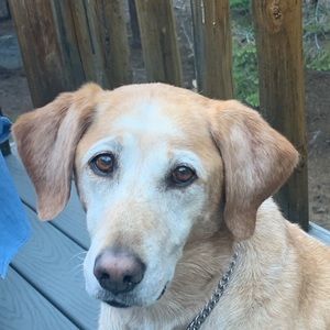 Meet your Posher, Angie